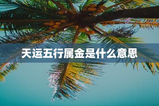 天运五行属金是什么意思