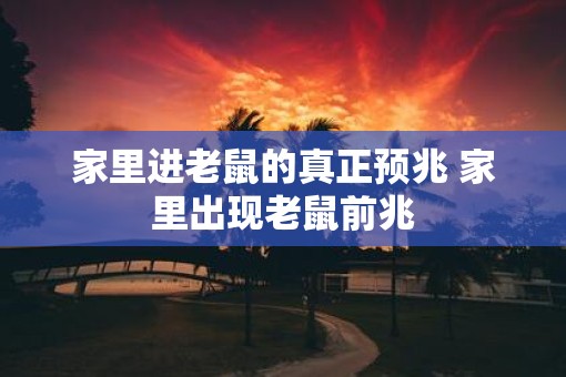家里进老鼠的真正预兆 家里出现老鼠前兆