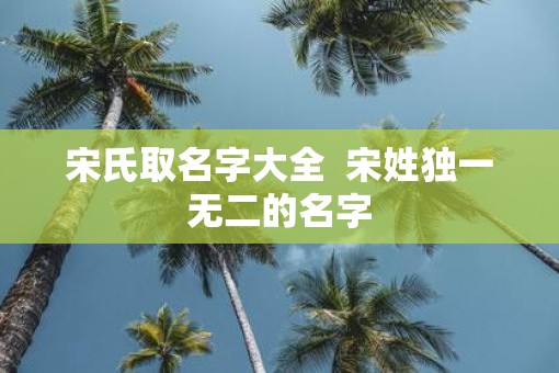 宋氏取名字大全  宋姓独一无二的名字