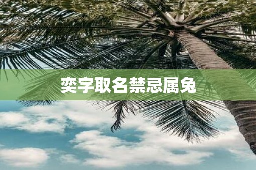奕字取名禁忌属兔