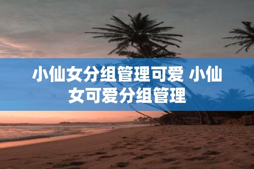 小仙女分组管理可爱 小仙女可爱分组管理