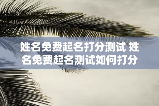 姓名免费起名打分测试 姓名免费起名测试如何打分