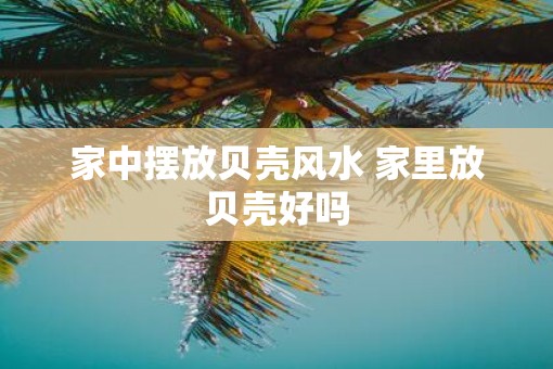 家中摆放贝壳风水 家里放贝壳好吗