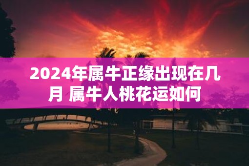 2025年属牛正缘出现在几月 属牛人桃花运如何