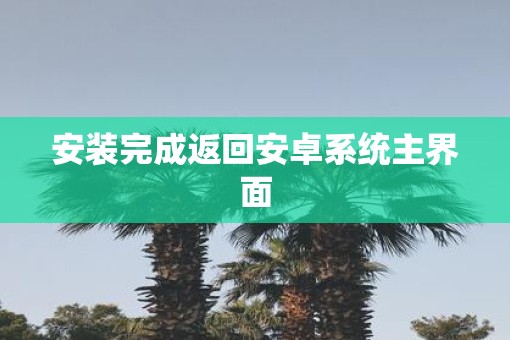 安装完成返回安卓系统主界面