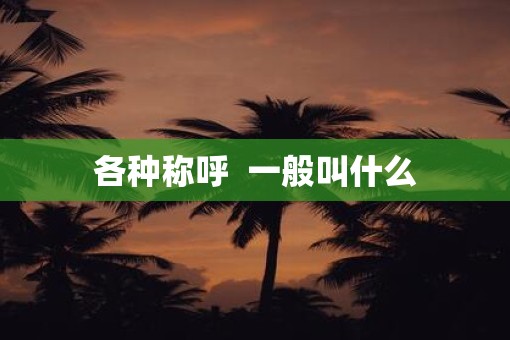 各种称呼  一般叫什么