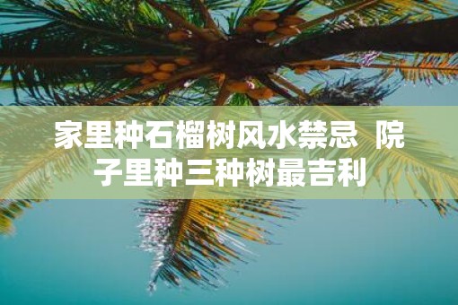 家里种石榴树风水禁忌  院子里种三种树最吉利