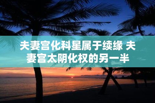 夫妻宫化科星属于续缘 夫妻宫太阴化权的另一半