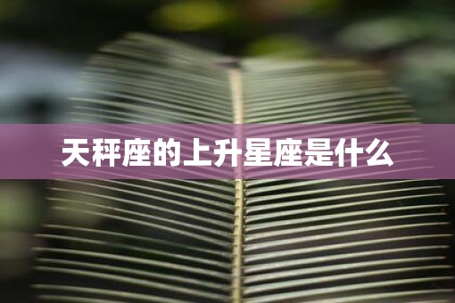 天秤座的上升星座是什么