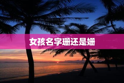 女孩名字珊还是姗
