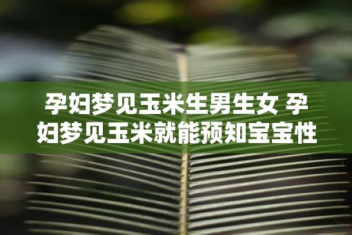 孕妇梦见玉米生男生女 孕妇梦见玉米就能预知宝宝性别吗