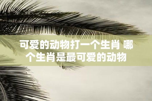 可爱的动物打一个生肖 哪个生肖是最可爱的动物