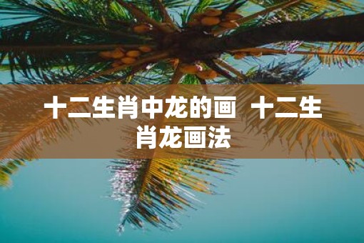 十二生肖中龙的画  十二生肖龙画法