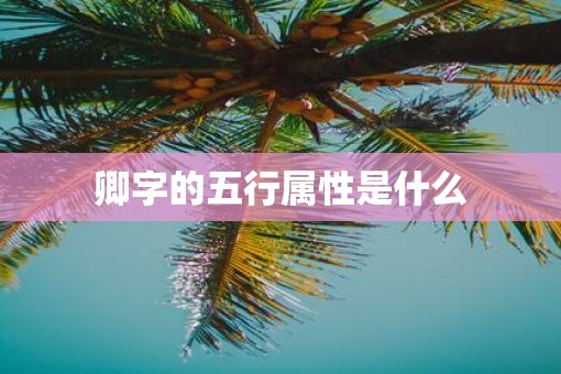 卿字的五行属性是什么