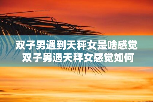 双子男遇到天秤女是啥感觉 双子男遇天秤女感觉如何