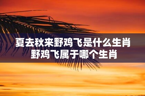夏去秋来野鸡飞是什么生肖 野鸡飞属于哪个生肖