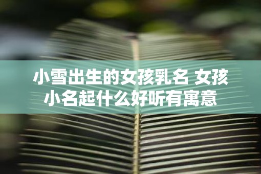 小雪出生的女孩乳名 女孩小名起什么好听有寓意