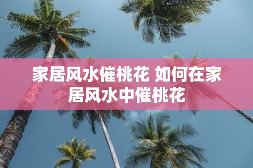 家居风水催桃花 如何在家居风水中催桃花