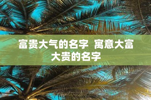 富贵大气的名字  寓意大富大贵的名字