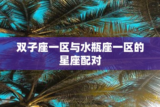 双子座一区与水瓶座一区的星座配对 双子座一区与水瓶座一区的星座配对