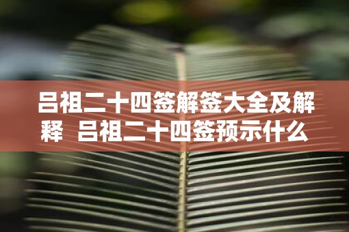 吕祖二十四签解签大全及解释  吕祖二十四签预示什么