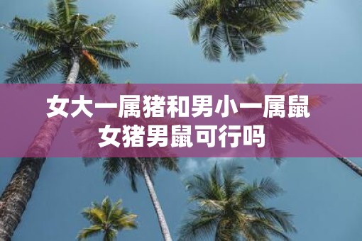 女大一属猪和男小一属鼠 女猪男鼠可行吗 女大一属猪和男小一属鼠 女猪男鼠可行吗