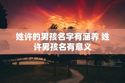 姓许的男孩名字有涵养 姓许男孩名有意义