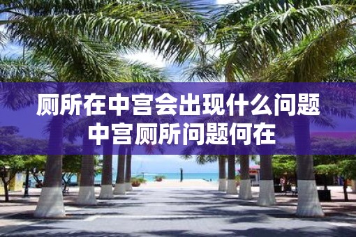 厕所在中宫会出现什么问题 中宫厕所问题何在