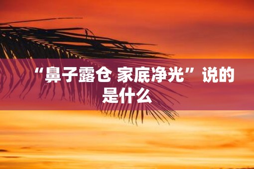 “鼻子露仓 家底净光”说的是什么