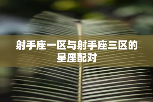 射手座一区与射手座三区的星座配对