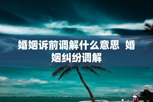 婚姻诉前调解什么意思  婚姻纠纷调解