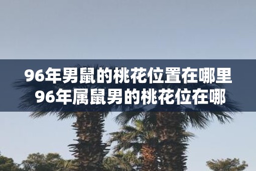 96年男鼠的桃花位置在哪里 96年属鼠男的桃花位在哪个方向