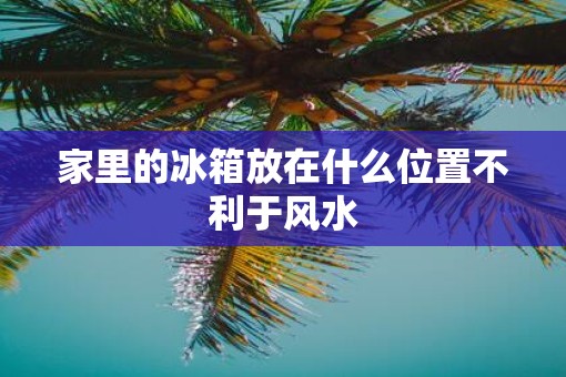 家里的冰箱放在什么位置不利于风水