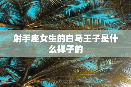 射手座女生的白马王子是什么样子的