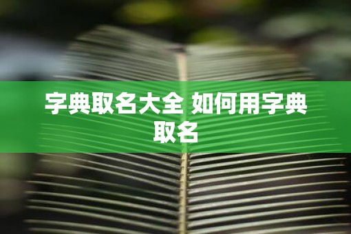 字典取名大全 如何用字典取名