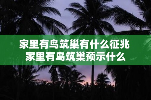 家里有鸟筑巢有什么征兆 家里有鸟筑巢预示什么