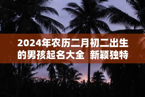 2025年农历二月初二出生的男孩起名大全  新颖独特的名字