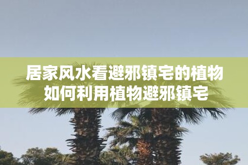 居家风水看避邪镇宅的植物 如何利用植物避邪镇宅