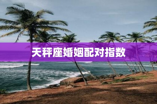 天秤座婚姻配对指数