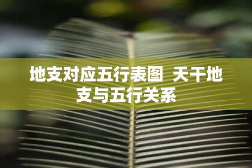 地支对应五行表图  天干地支与五行关系