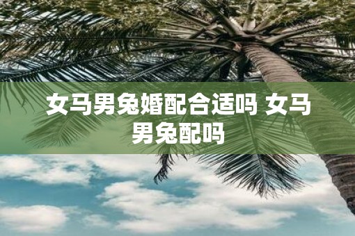 女马男兔婚配合适吗 女马男兔配吗