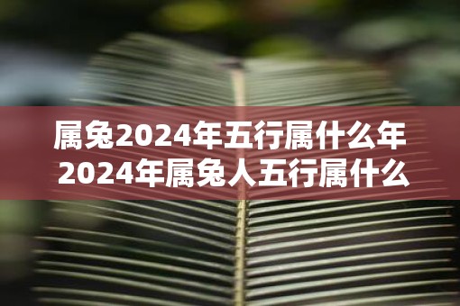 属兔2025年五行属什么年 2025年属兔人五行属什么