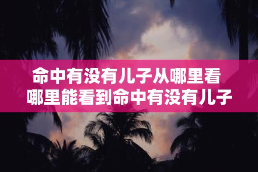 命中有没有儿子从哪里看 哪里能看到命中有没有儿子
