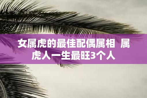 女属虎的最佳配偶属相  属虎人一生最旺3个人