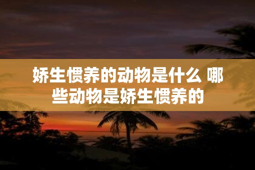 娇生惯养的动物是什么 哪些动物是娇生惯养的
