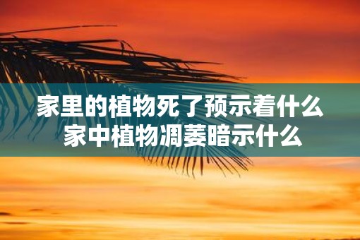 家里的植物死了预示着什么 家中植物凋萎暗示什么
