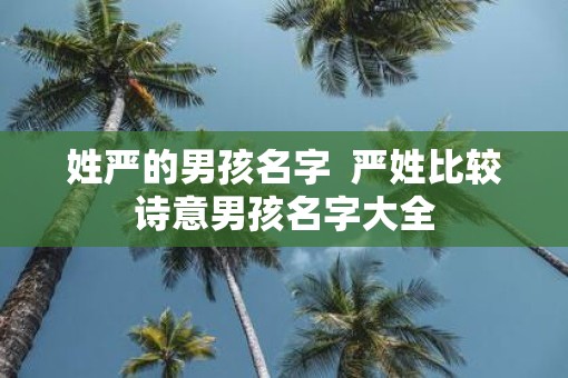 姓严的男孩名字  严姓比较诗意男孩名字大全