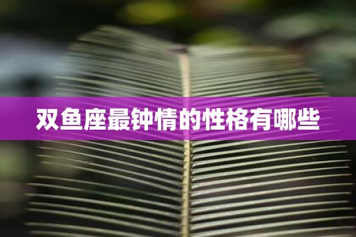 双鱼座最钟情的性格有哪些