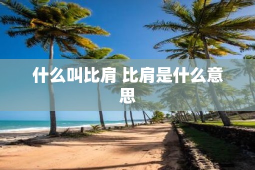 什么叫比肩 比肩是什么意思