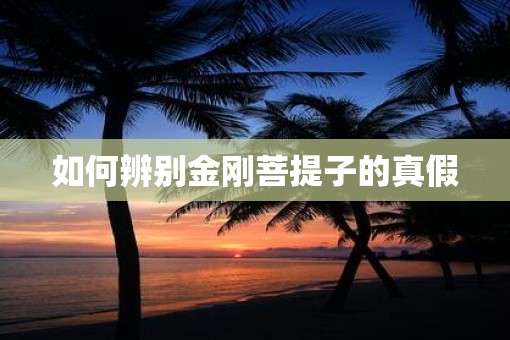 如何辨别金刚菩提子的真假